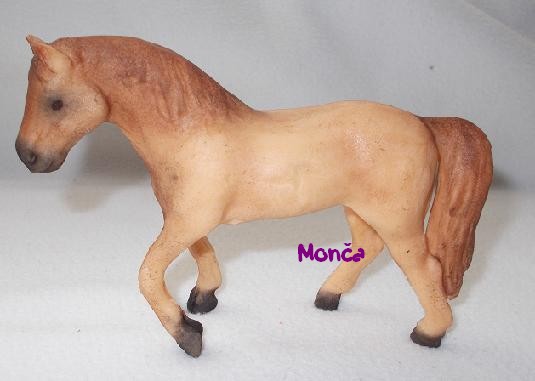 modelace kůň