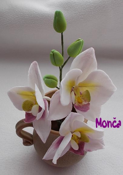 orchidea detail I